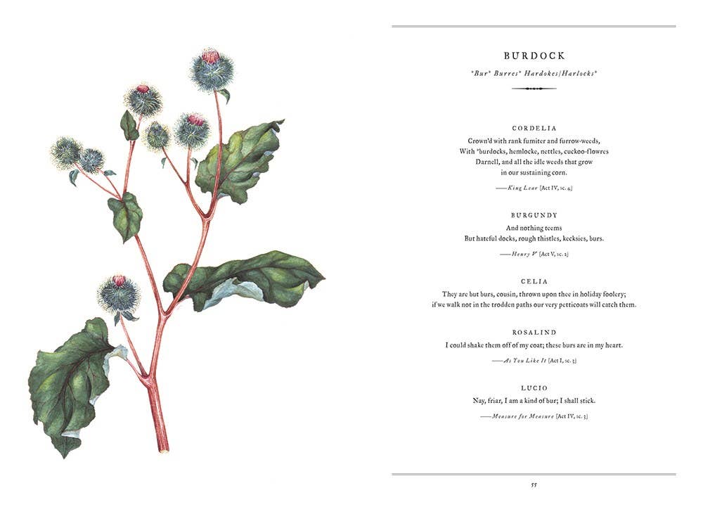 Botanical Shakespeare : Gerit Quealy