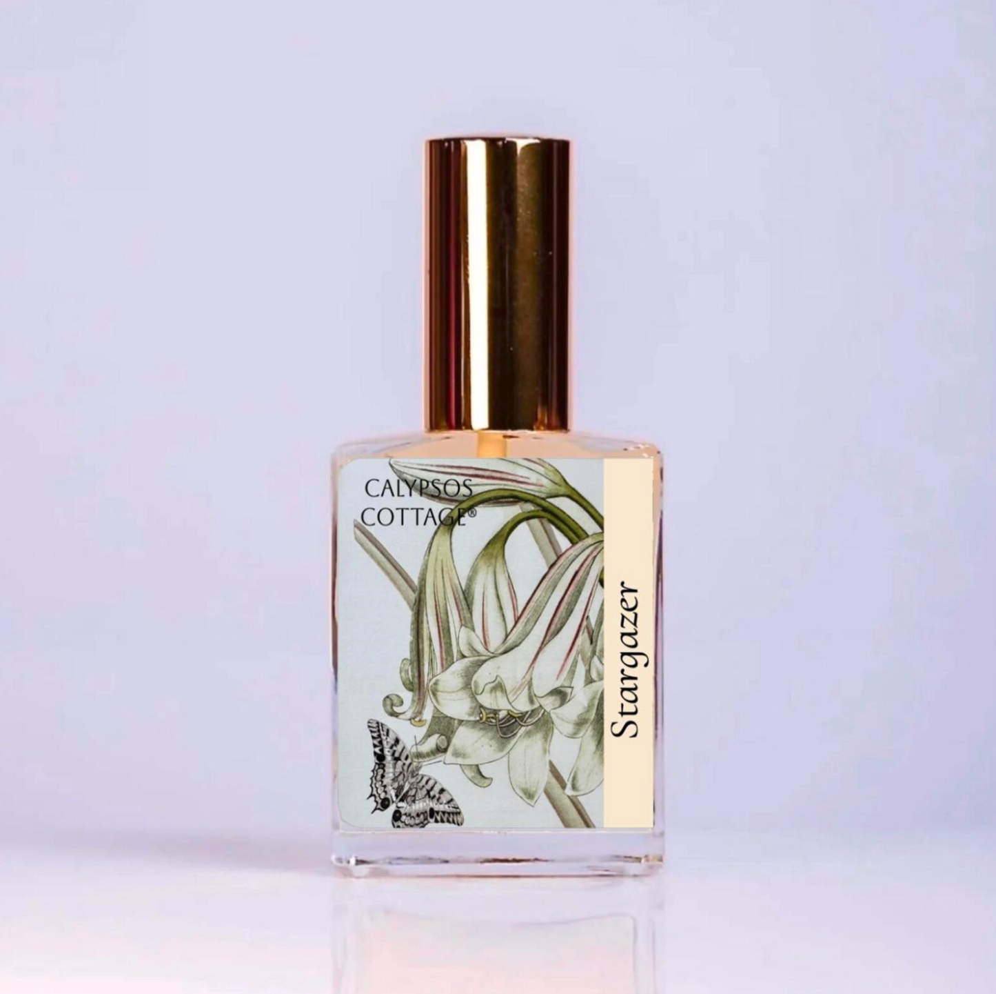 Stargazer Perfume