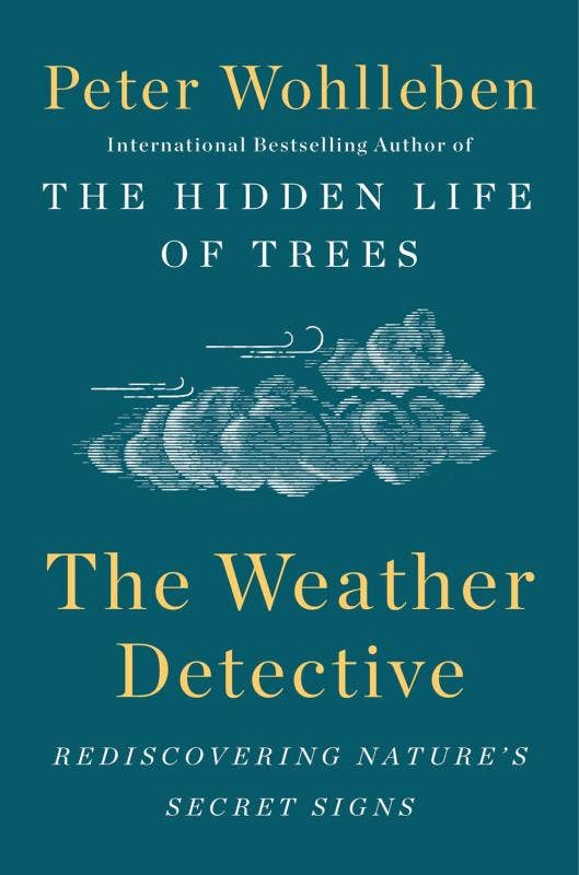 Weather Detective: Rediscovering Nature's secret signs