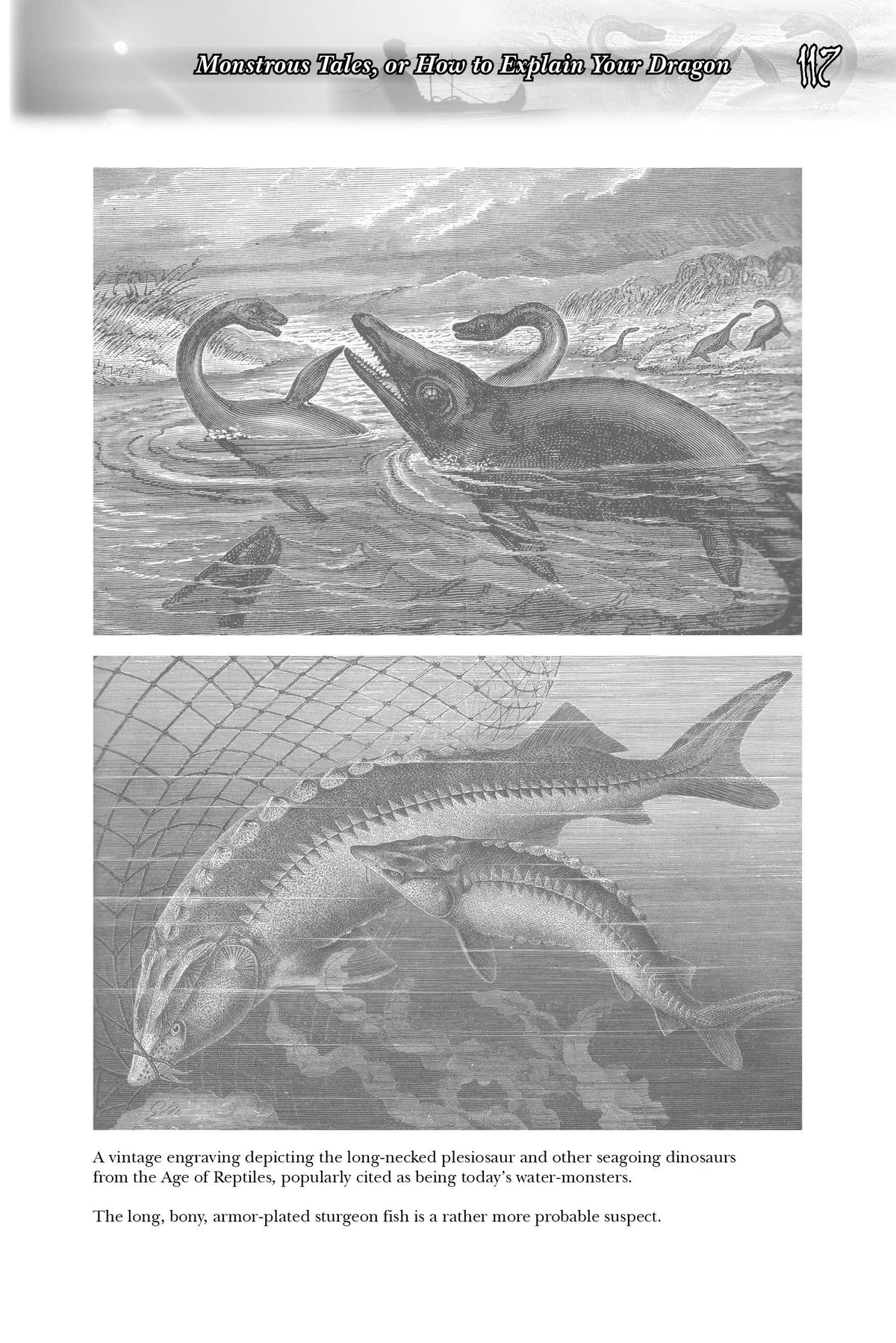 Great Lakes Folklore: Legends of the Five Sisters