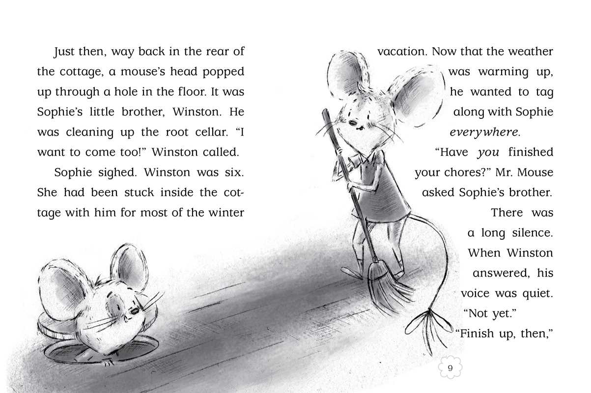New Friend (the Adventures of Sophie Mouse)