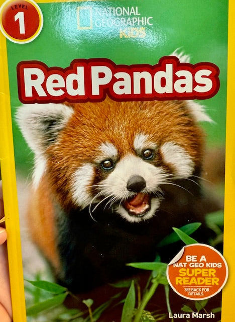 Red Pandas